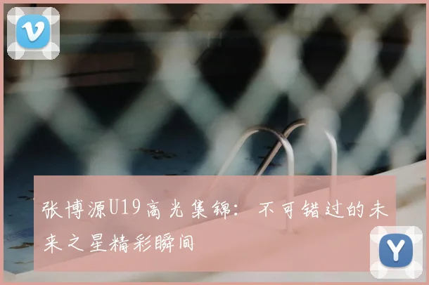 张博源U19高光集锦:不可错过的未来之星精彩瞬间